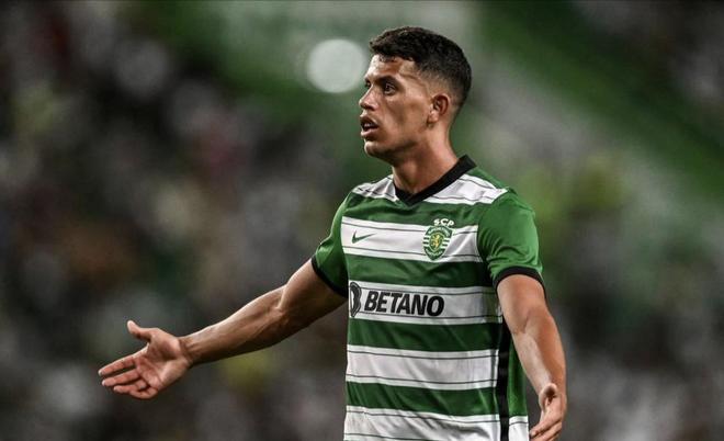 赛的奋力拼 赛的奋力拼