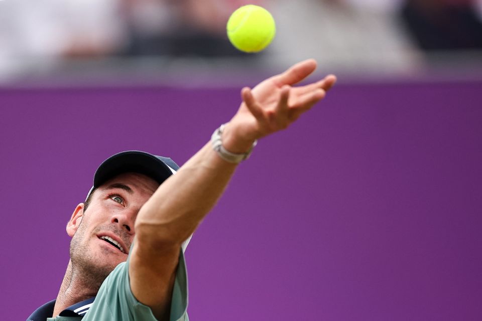 的标签不乏 的标签不乏