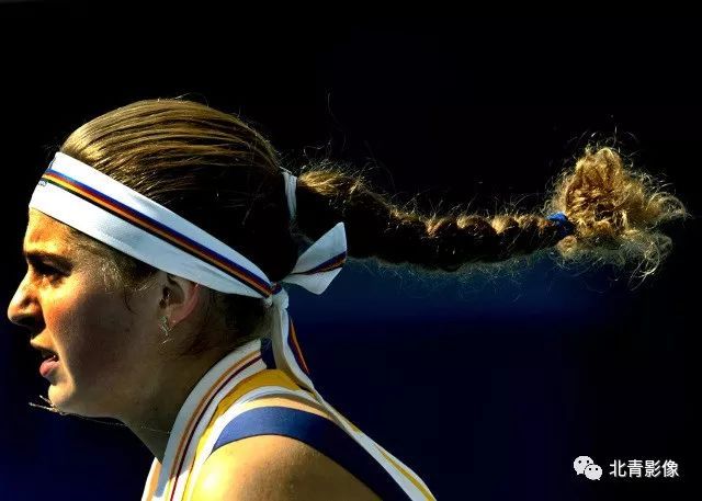 象的展示 象的展示