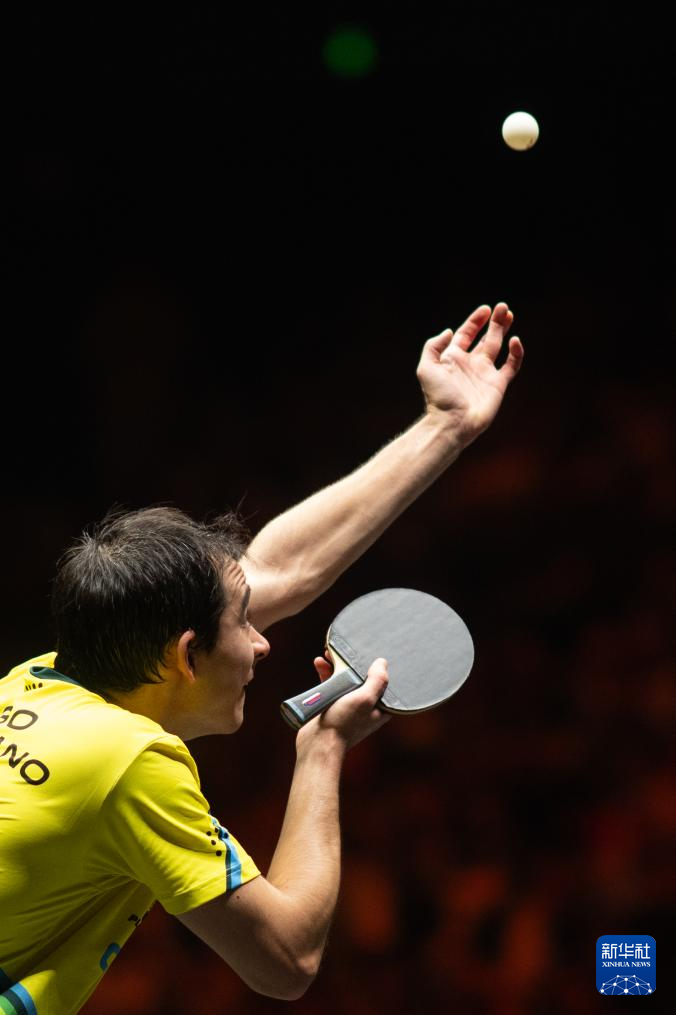 级飞行技能 级飞行技能